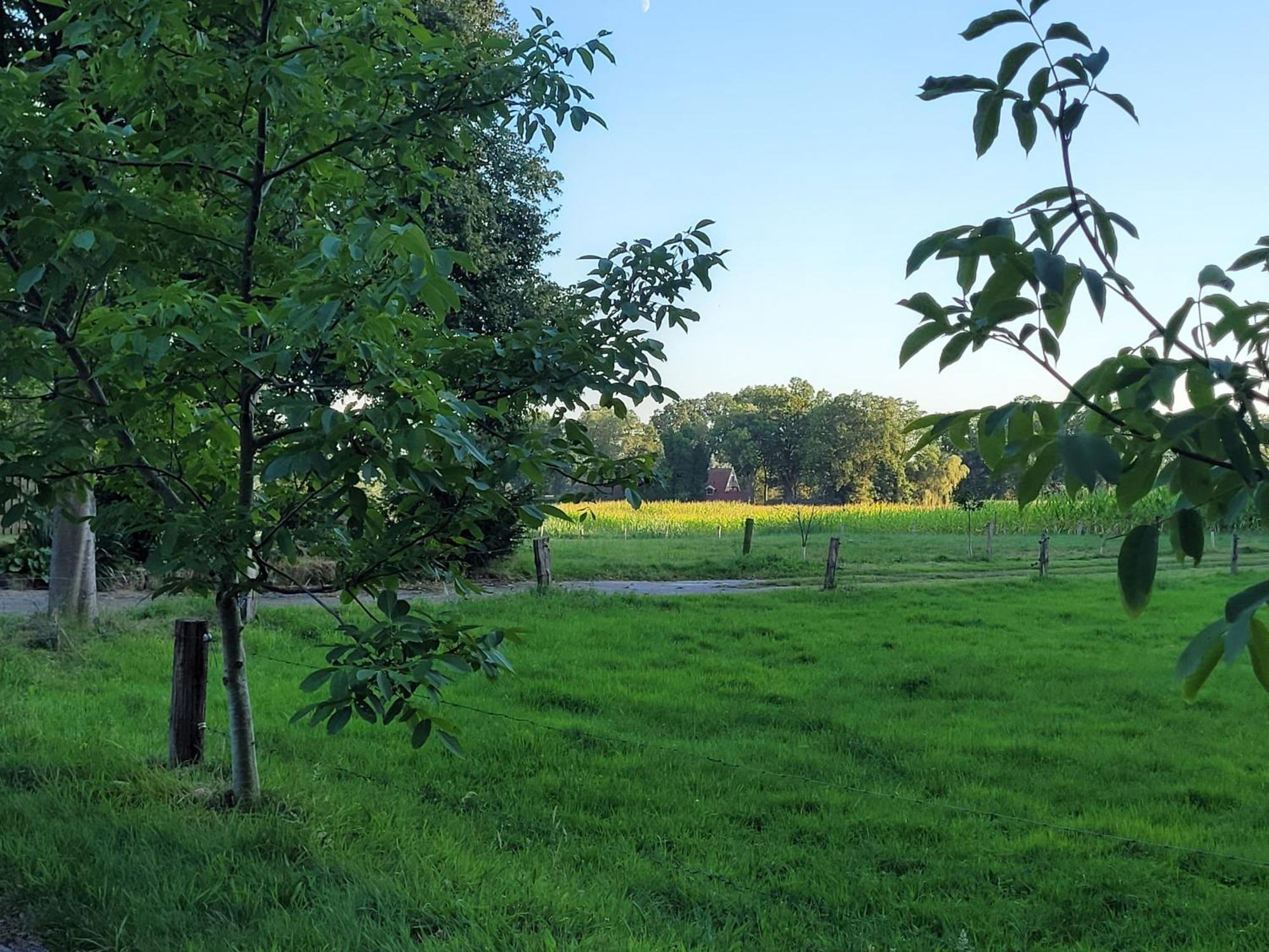 Holiday home Onder De Lindeboom Losser